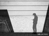 山东锦尚网络科技有限公司
