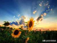 山东锦尚网络科技有限公司