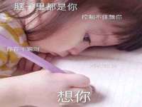 山东锦尚网络科技有限公司
