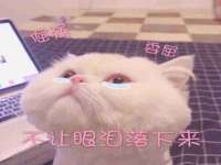 山东锦尚网络科技有限公司