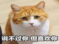 山东锦尚网络科技有限公司