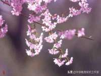 山东锦尚网络科技有限公司