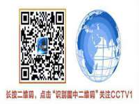 山东锦尚网络科技有限公司
