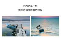 山东锦尚网络科技有限公司