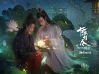 山东锦尚网络科技有限公司