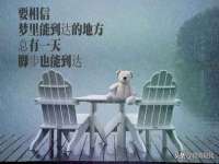 山东锦尚网络科技有限公司