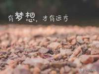 山东锦尚网络科技有限公司
