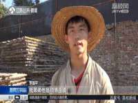 山东锦尚网络科技有限公司