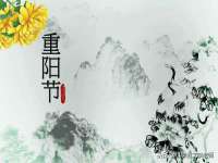 山东锦尚网络科技有限公司