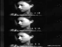 山东锦尚网络科技有限公司