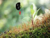 山东锦尚网络科技有限公司