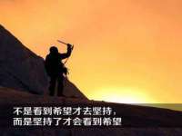 山东锦尚网络科技有限公司