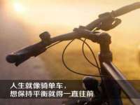 山东锦尚网络科技有限公司