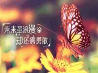 山东锦尚网络科技有限公司