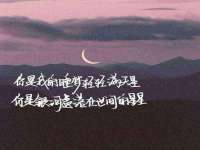 山东锦尚网络科技有限公司