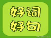山东锦尚网络科技有限公司