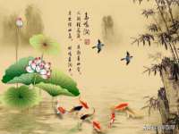 山东锦尚网络科技有限公司