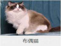 山东锦尚网络科技有限公司