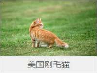 山东锦尚网络科技有限公司