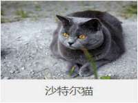 山东锦尚网络科技有限公司