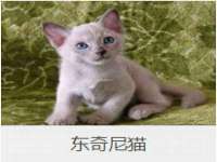 山东锦尚网络科技有限公司