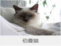 山东锦尚网络科技有限公司
