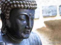 山东锦尚网络科技有限公司
