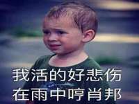 山东锦尚网络科技有限公司