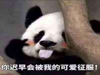 山东锦尚网络科技有限公司