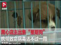 山东锦尚网络科技有限公司