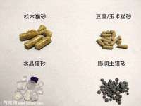山东锦尚网络科技有限公司