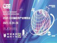 山东锦尚网络科技有限公司