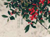 山东锦尚网络科技有限公司