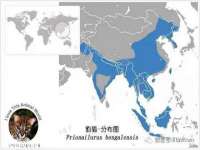 山东锦尚网络科技有限公司