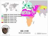 山东锦尚网络科技有限公司