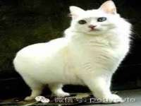 山东锦尚网络科技有限公司