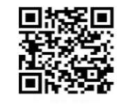 山东锦尚网络科技有限公司