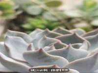 山东锦尚网络科技有限公司