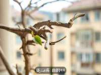 山东锦尚网络科技有限公司