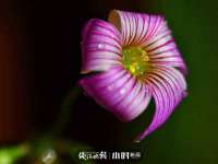 山东锦尚网络科技有限公司