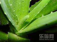 山东锦尚网络科技有限公司