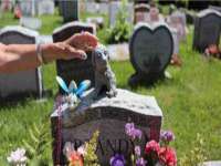 山东锦尚网络科技有限公司