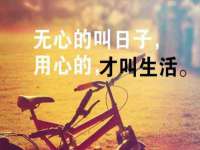 山东锦尚网络科技有限公司