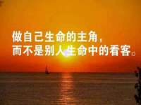 山东锦尚网络科技有限公司