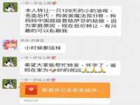 山东锦尚网络科技有限公司