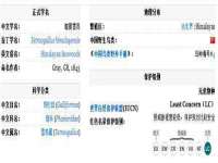 山东锦尚网络科技有限公司