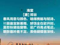 山东锦尚网络科技有限公司