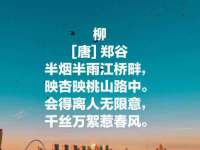 山东锦尚网络科技有限公司