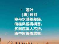 山东锦尚网络科技有限公司