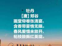 山东锦尚网络科技有限公司